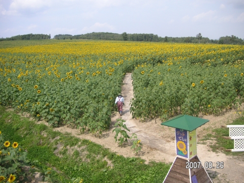 s_PICT0056.jpg